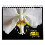 ORCHIDS 2011 WALL CALENDARS