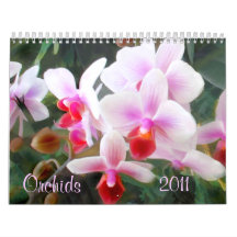 Orchids 2011 wall calendars