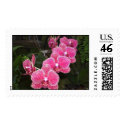 Orchids 30 postage
