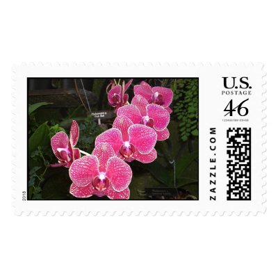 Orchids 30 postage stamps
