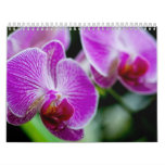 orchids-9 calendar