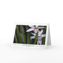 Orchids and Bamboo Note Card