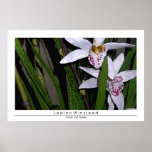 Orchids and Bamboo posters