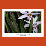 tropical, orchids, plants, bamboo, asian, tropics,