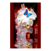 Orchids and Butterflys posters by Calicoast Orchids and Butterflys posters