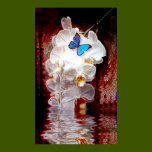Orchids and Butterflys Print