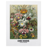 Orchids (Artforms Of Nature) Personalized Flyer