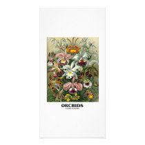 Orchids (Artforms Of Nature) photo cards