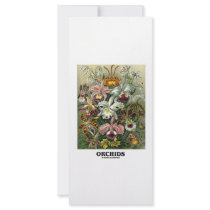 Orchids (Artforms Of Nature) rack cards by wordsunwords Orchids (Artforms Of Nature) rack cards