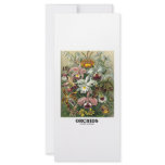 Orchids (Artforms Of Nature) Personalized Rack Card