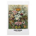 Orchids (Artforms Of Nature) Custom Stationery