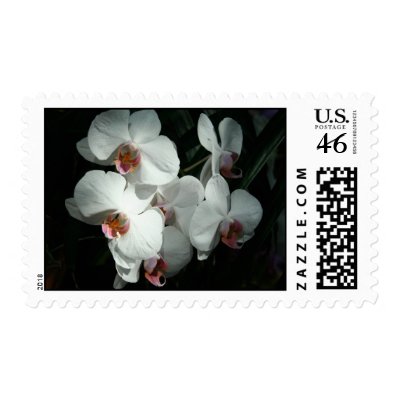 Orchids At Meijer Gardens Postage