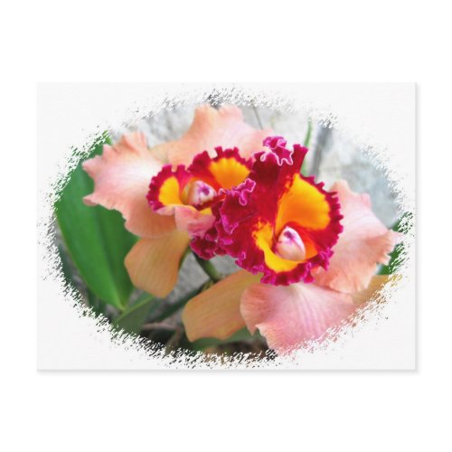 Orchids at the Butterfly House postcard