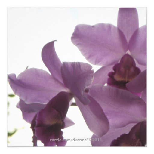 Orchids Bridal-Wedding Shower or Birthday Invites