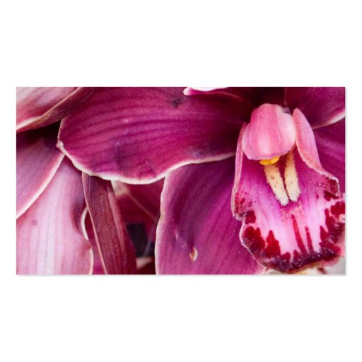 Orchids Business Card Template (back side)