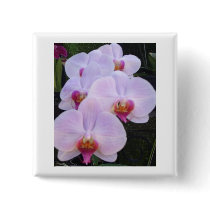 Orchids Button Corsage