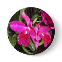 Orchids Button Corsage