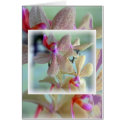Orchids by the Sea Card card