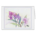 Orchids cards by boiscanot Orchids cards