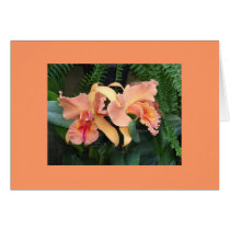 Orchids cards by JLWinther Orchids cards