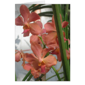 Orchids greeting card