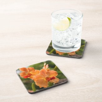 Orchids Drink Coasters