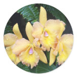 Orchids Envelope Seal Round Sticker