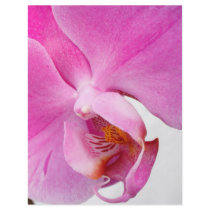 Orchids flyers by gavila_pt Orchids flyers