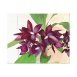 orchids for your wall canvas prints
