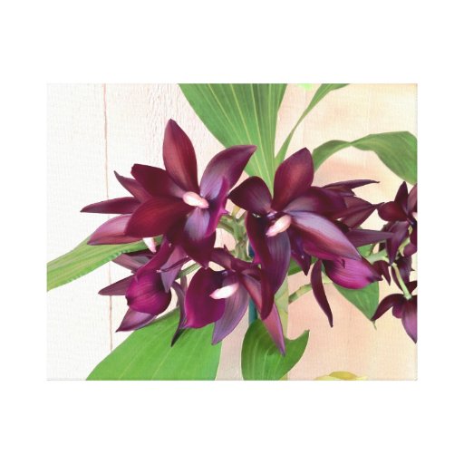 orchids for your wall canvas print