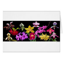 Orchids galore cards