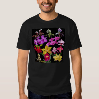 orchid shirt price