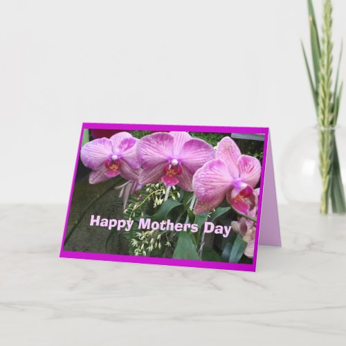 Orchids, Happy Mothers Day Cards