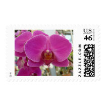 Orchids Hot Pink postage