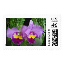 Orchids in Love postage by JLWinther Orchids in Love postage