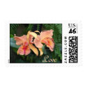 Orchids in Love Postage postage by JLWinther Orchids in Love Postage postage