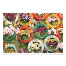 Orchids in tyres invite