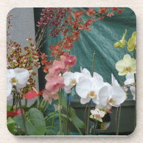 Orchids.jpg cork coasters