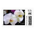 Orchids Love Wedding Flower postage by aslentz Orchids Love Wedding Flower postage