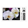 Orchids Love Wedding Flower Postage Stamps