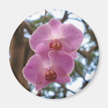 Orchids Magnet