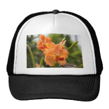 Orchids Mesh Hats