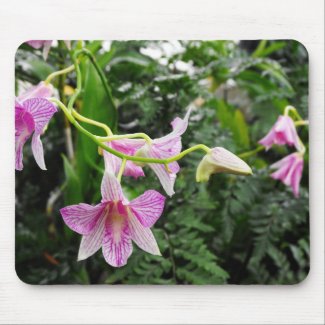 Orchids mousepad
