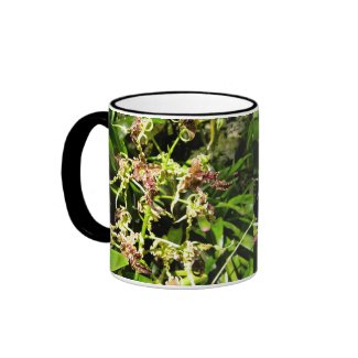Orchids Mug