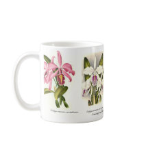 Orchids mugs