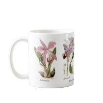 Orchids mugs