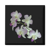 Orchids on Black magnets by elyssa444 Orchids on Black magnets