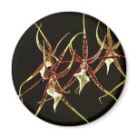 Orchids on Black Magnets