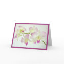 Orchids On White, Happy Birthday! cards by elyssa444 Orchids On White, Happy Birthday! cards