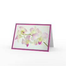 Orchids On White, Happy Birthday! cards